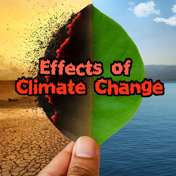 Effects of climate change