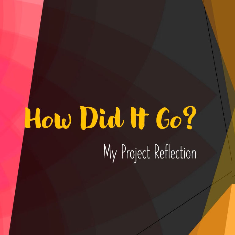 Project reflection